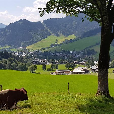 Haus Sonnleiten Maria Alm am Steinernen Meer Dış mekan fotoğraf