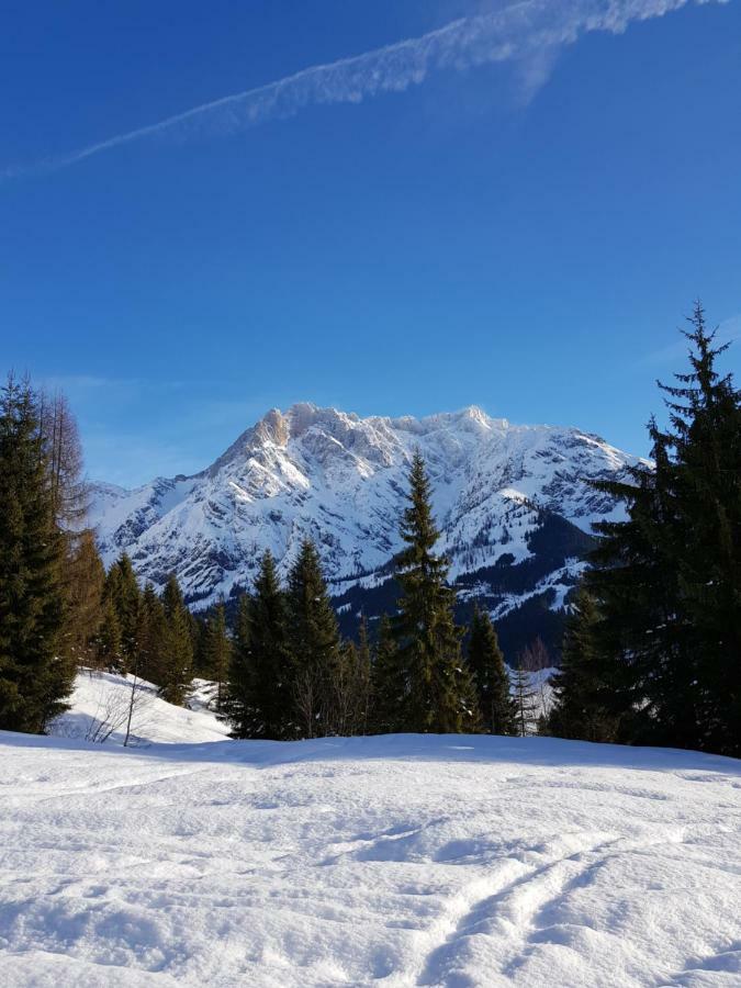 Haus Sonnleiten Maria Alm am Steinernen Meer Dış mekan fotoğraf